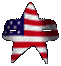 Star Trek / USA Flag