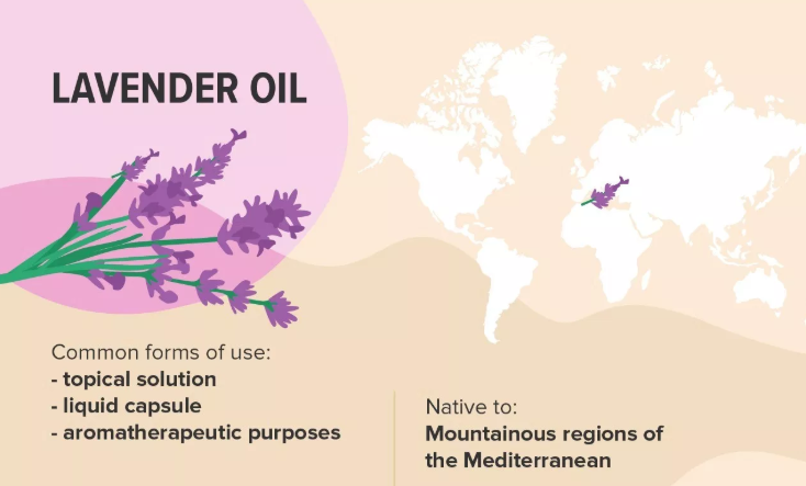 Lavender oil (Lavandula angustifolia)