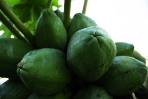 green papaya benefits